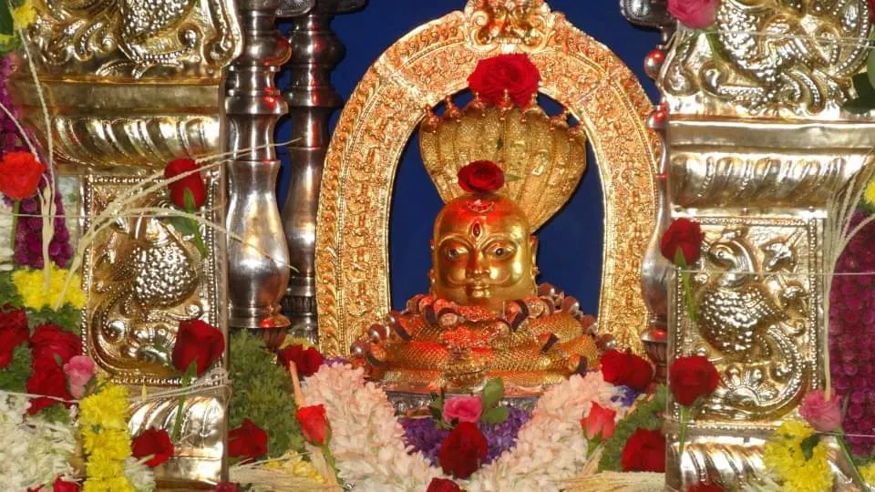 The Naga deity under his hood of seven serpents